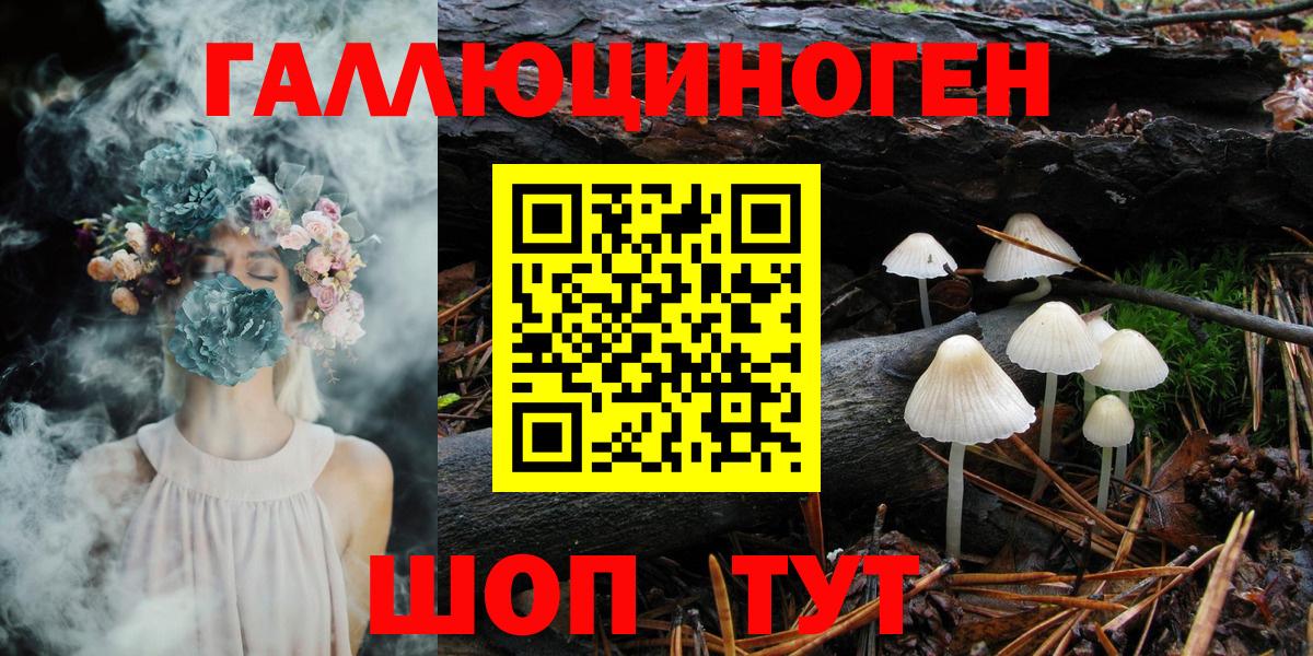 Галлюциногенные грибы Psilocybine cubensis Лянтор