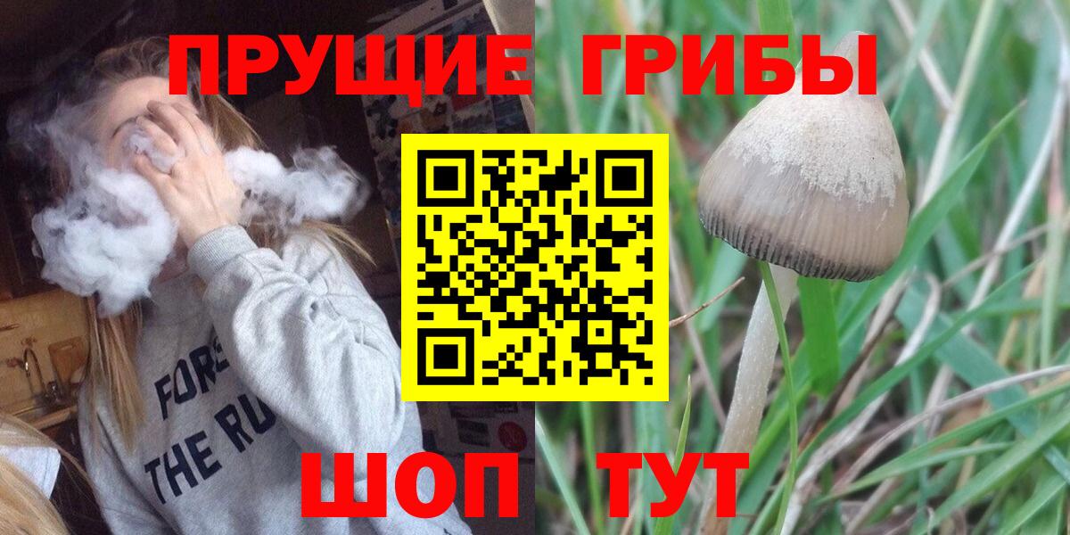 Галлюциногенные грибы GOLDEN TEACHER  Вход с VPN  Лянтор 